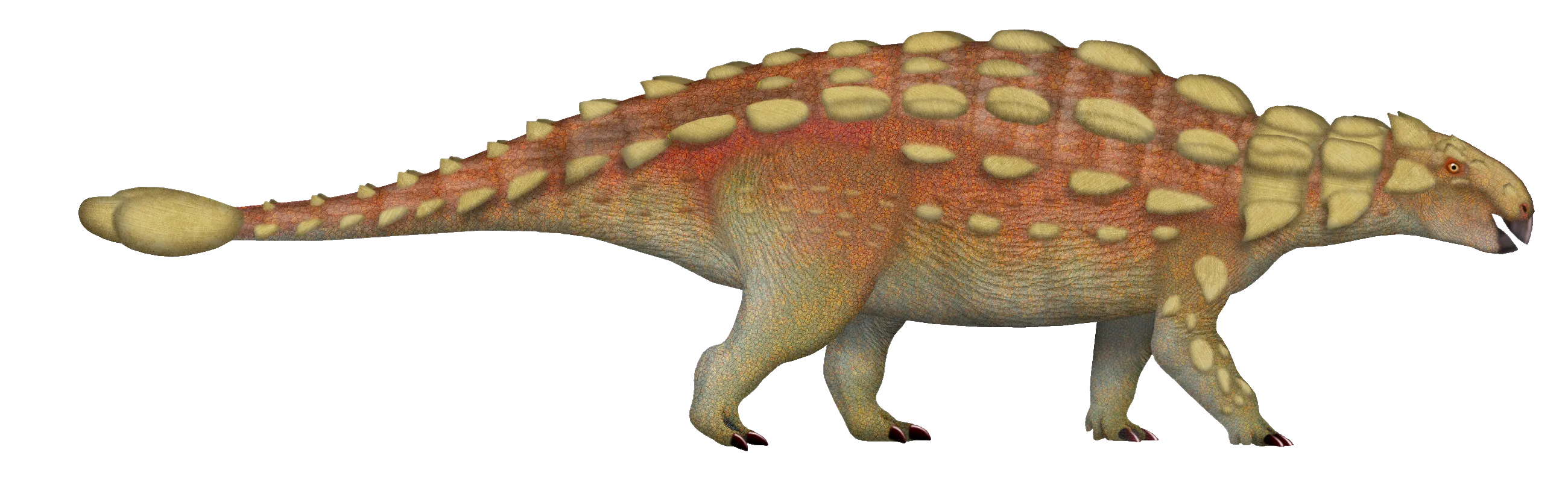 Ankylosaurus